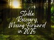 穩(wěn)健復蘇，2025向前行                                                                                                                                          